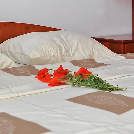 Apartmaji Soncek Moravske-Toplice